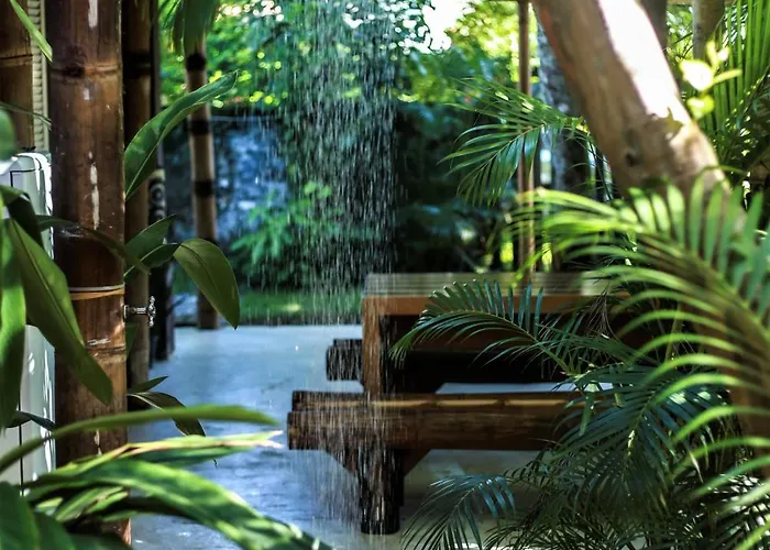 Alebahli Hostel Ilhabela ᵇʸ ᴬᴸᴱᴮᴬᴴᴸᴵHostel